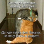 0-02-0a-4df978c0be2c70990495870180af8273b41ae8318b177d5b6134f473ded6c3d9_56c77b4